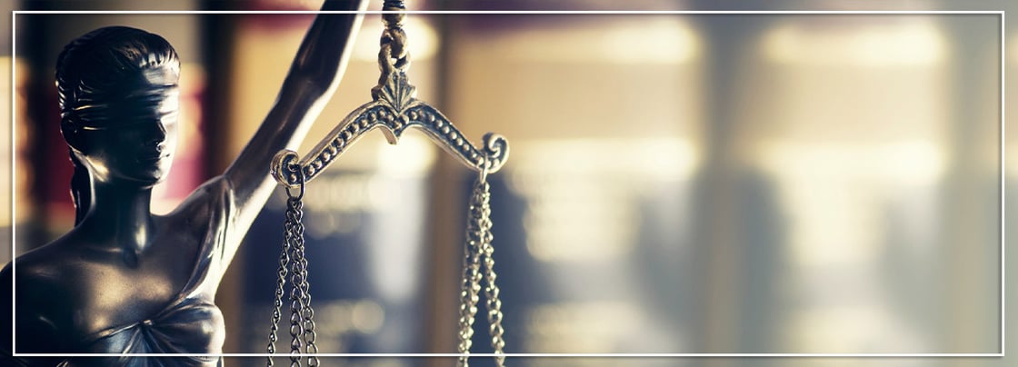 EmailBanner_RAI_July_Law