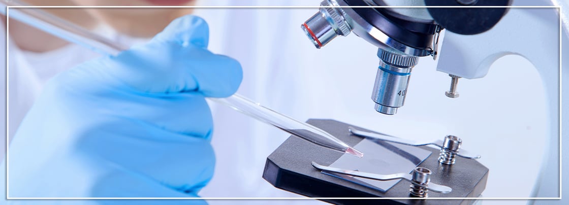 EmailBanner_TPA_June_2-1